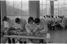 Estudiantes de Medicina realizando disecciones