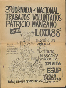 3era Jornada Nacional Trabajos voluntarios Patricio Manzano Lota 88'