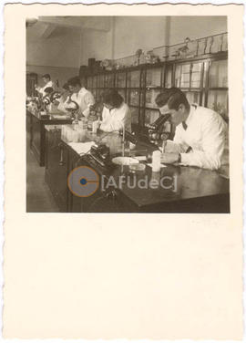 Laboratorios