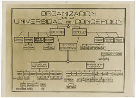 Organigrama de la Universidad de Concepción